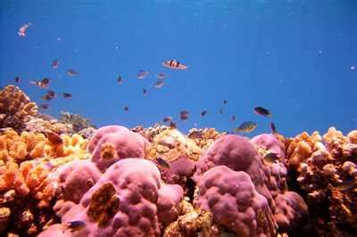 Book Grand Baie Mauritius Tours, Tickets & Packages Online