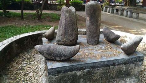 7 Best Parks in Kochi for Fun and Relaxation