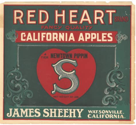 The Five Marys Story — FIVE MARYS RANCH