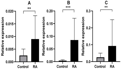 Endoplasmic Reticulum-Dependent Apoptotic Response to Cellular Stress ...