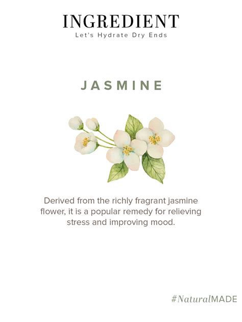 Khadi Natural Jasmine - Pure Essential Oil | Buy Khadi Natural Herbal ...