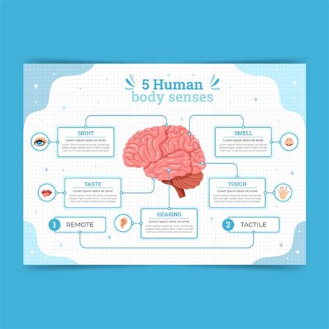 Infográfico de 5 sentidos desenhados à mão | Vetor Grátis