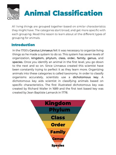 Image result for Animal Classification Tutorial in Python