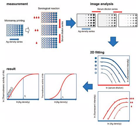 Absolute Quantitation of Serum Antibody Reactivity Using the Richards ...