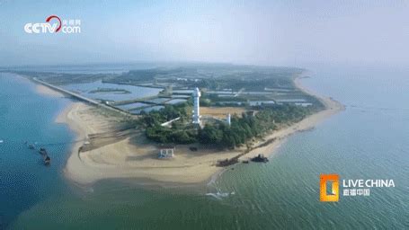 广东开海！湛江、茂名、阳江、江门、汕尾…各大渔港挤爆了！_腾讯新闻