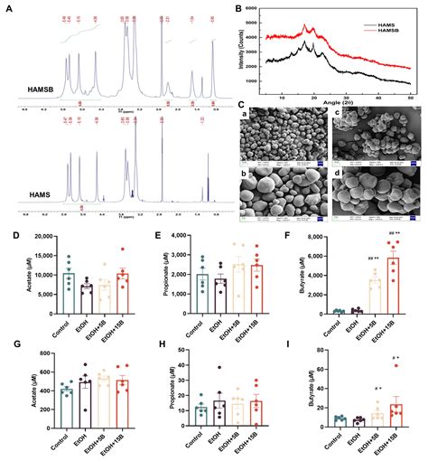 A Butyrate-Yielding Dietary Supplement Prevents Acute Alcoholic Liver ...