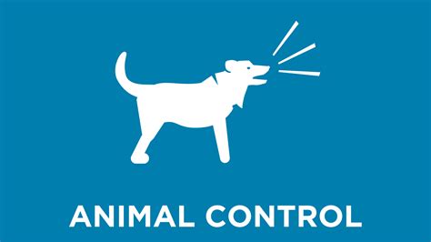 Safety and Justice | Provo, UT