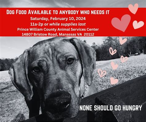 Dog Food Giveaway, 14807 Bristow Rd, Manassas, VA 20112, United States ...