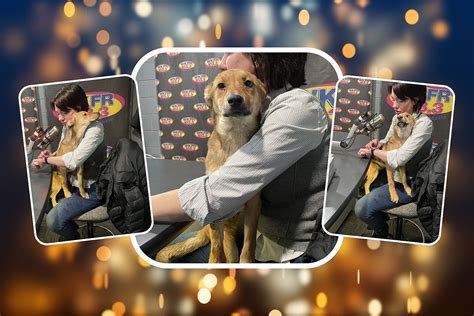 Marsha, Marsha, Marsha! She's Lovable, Cute & Needs a New Home