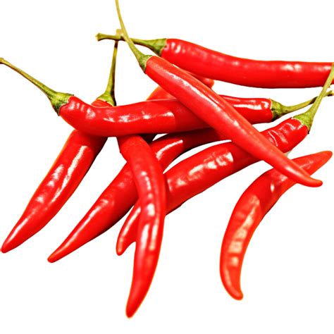 Grow Spice - Indian Food & Spice Import / Export and Whole Saler