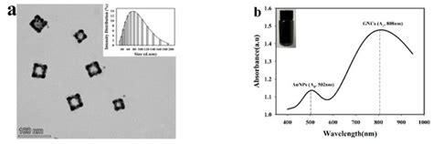Non-Enzymatically Colorimetric Bilirubin Sensing Based on the Catalytic ...
