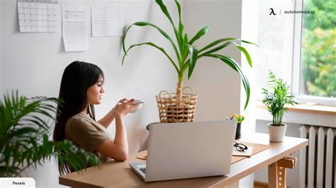 Guide on Feng Shui Office Layout With Window