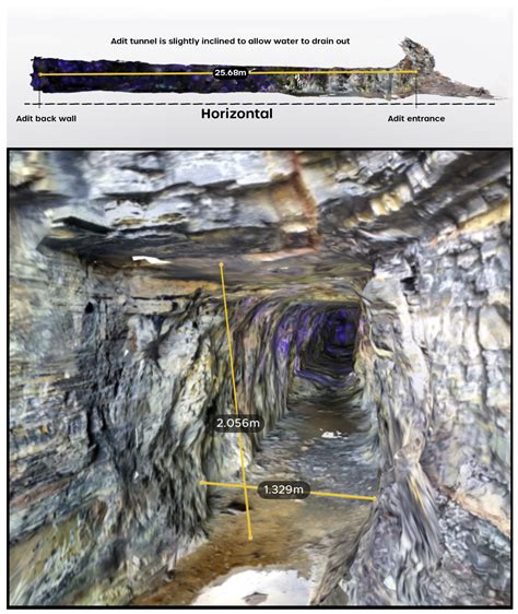 Combined Solid-State LiDAR and Fluorescence Photogrammetry Imaging to ...