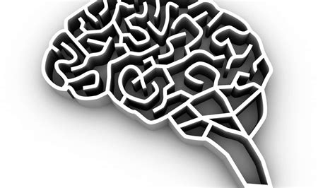 Behavior Science Desktop Background 的图像结果