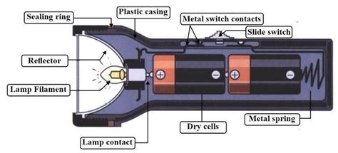 Describe the internal structure of a torch with a neat and well ...