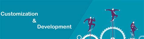 Image result for Software Customization Tutorial