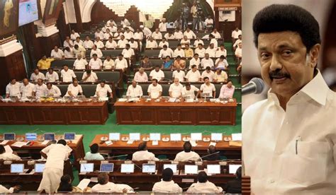 பெண்கள் பாதுகாப்புக்கான சட்டதிருத்த மசோதா: தமிழக சட்டப்பேரவையில் ...