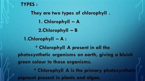 Image result for Reproduction of Chlorella