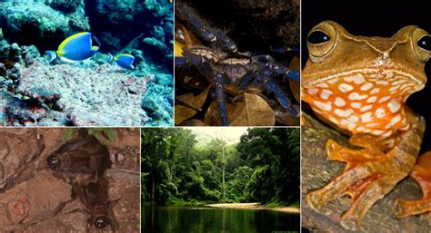 Ecology | Centre for Ecological Sciences | IISc