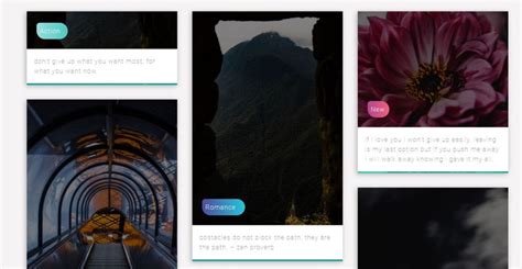 Div CSS Layout 的图像结果