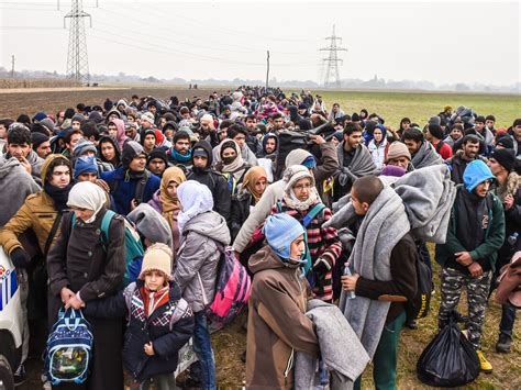 Chaos, Mythology and Migration | Meer