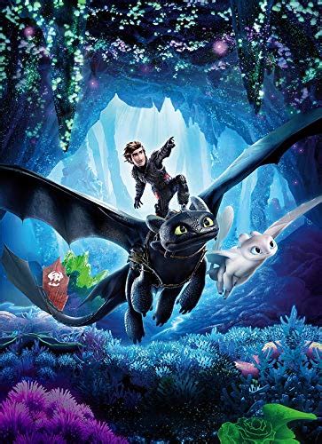 Buy HSA How To Train Your Dragon The Hidden World Hiccup Toothless ...