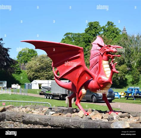 Welsh national symbols -Fotos und -Bildmaterial in hoher Auflösung – Alamy