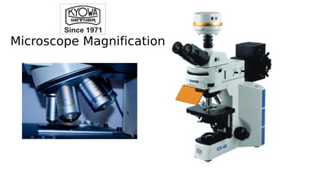 Image result for Microscope Magnification