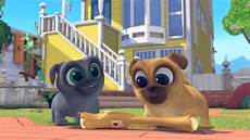 puppy pals wallpaper puppy pals wallpapers wallpaper cave puppy pals wallpaper puppy pals wallpapers wallpaper cave