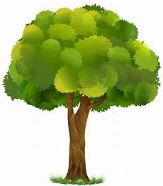Clipart Transparent Background Tree Images by Free Transparent Tree Cliparts Free Clip Clipart Transparent Background Tree Images