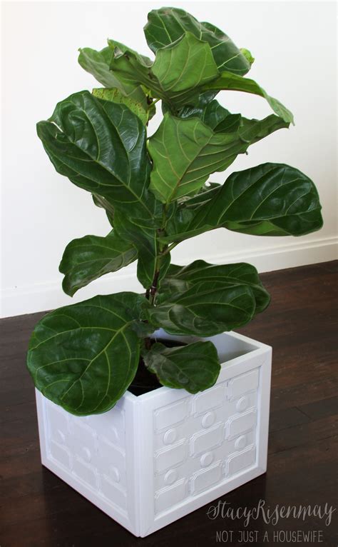 Homemade Garden Planters 的图像结果