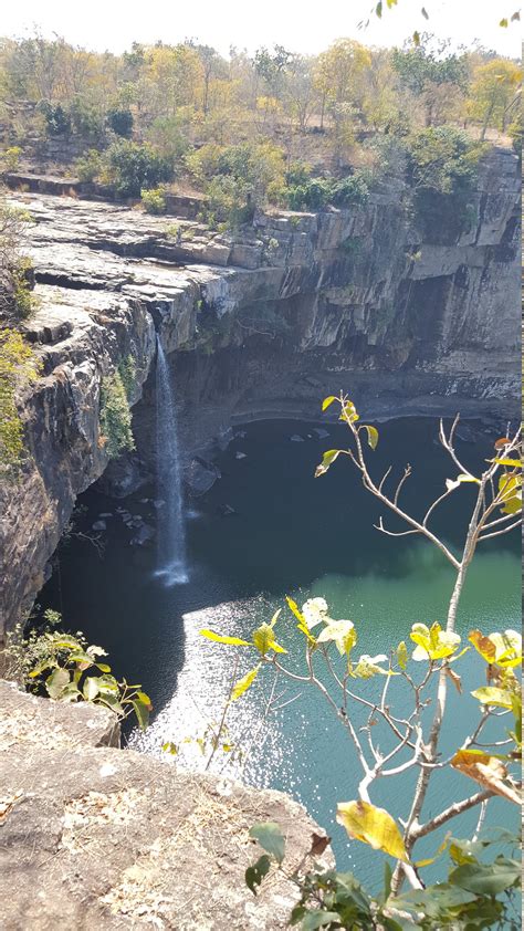 SUNABEDA WILDLIFE SANCTUARY (2026) All You Need to Know BEFORE You Go ...