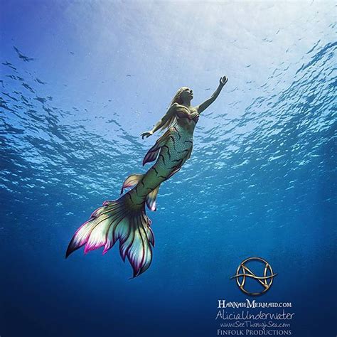 Hannah Mermaid 的图像结果