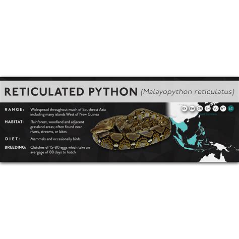 Retic Python 的图像结果