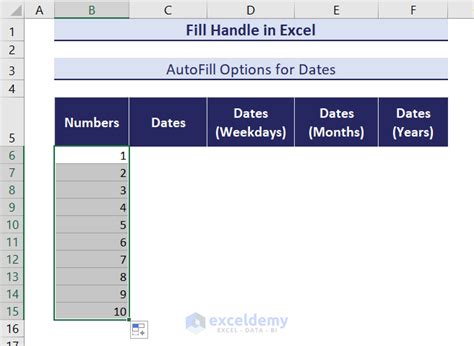 Image result for Series Using Fill Handle