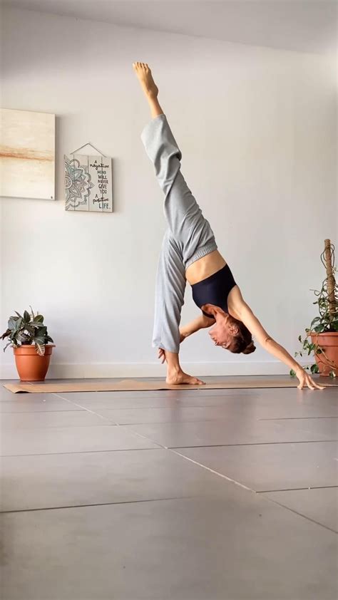 Flex Ballet Yoga 的图像结果