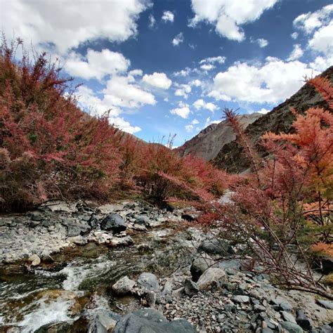 LADAKH: Ex Leh – Deluxe package 2 – (8N / 9D) » Avenues World