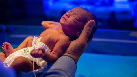 Image result for Humans Actually Making a Baby