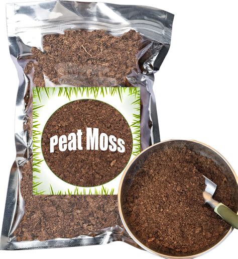 Amazon.com : Organic Sphagnum Peat Moss 10qt by Doter, Added to Soil ...