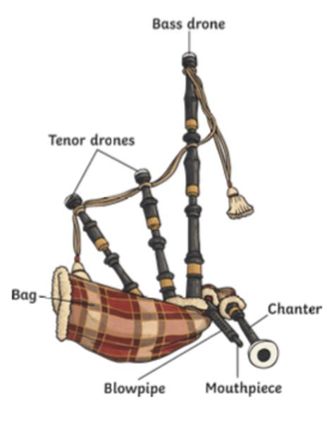Image result for Scottish Music Instruments