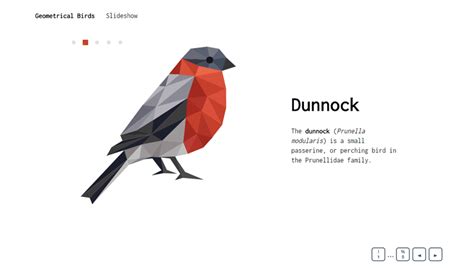 Slide Backgrounds HTML CSS 的图像结果