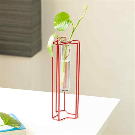 Modern Glass Garden' Test Tube Table Planter/Vase (25.4 cm | Red ...