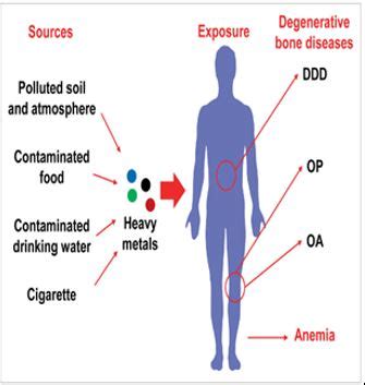 The Water (Prevention and Control of Pollution) Amendment Bill, 2024 ...