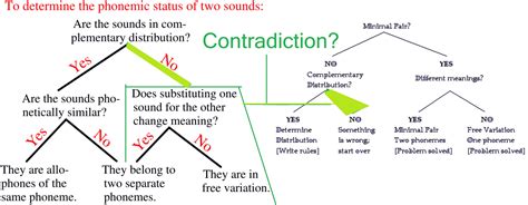 Image result for Contrastive Distribution Examples