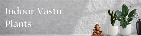 Vastu Plants – Greenkin