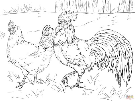 Free Printable Cute Chicken Coloring Pages