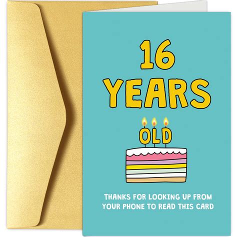 Funny 16th Birthday Memes 16th Birthday Card Funny Joke For 16 Year