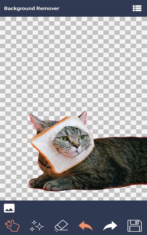 Background Remover - App on Amazon Appstore
