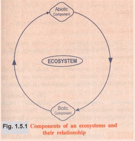 Ecosystem Structure 的图像结果