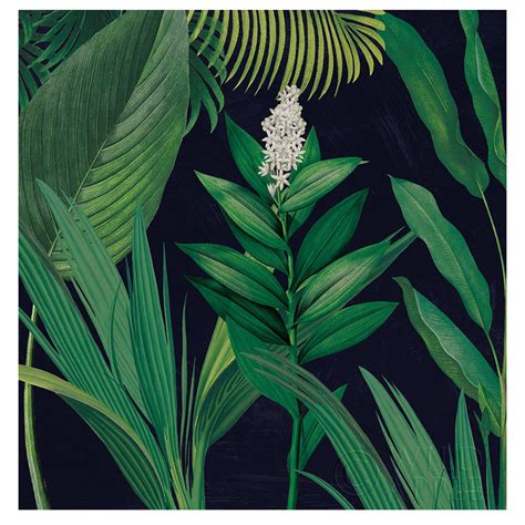Dramatic Tropical I – The Living Influence